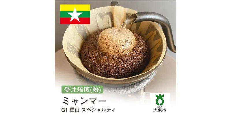 【ふるさと納税】[ 粉 ]#150 受注焙煎！310g ミャンマー G1 星山 スペシャルティ 珈琲粉 コーヒー粉 自家焙煎 | 珈琲 コーヒー カフェ 焙煎 大阪府大東市