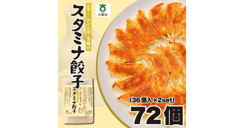 【ふるさと納税】【大阪名物】大阪ふくちぁんスタミナ餃子 冷凍生餃子 72個 ［36個入×2セット］ | ギョウザ ギョーザ 冷凍餃子 冷凍 生餃子 おつまみ おかず 惣菜 国産豚肉 国産野菜 中華 焼くだけ 詰合せ 大容量 人気 おすすめ 送料無料 ニンニク