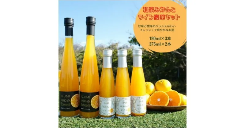 【ふるさと納税】和泉みかんとワイン3本(180ml)と2本(375ml)セット【1498031】