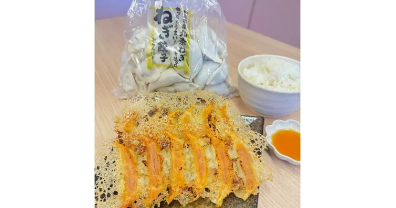 【ふるさと納税】大阪府和泉市産の九条ネギを使用した冷凍餃子　48個入×2パック(計96個)　道の駅で大好評!【配送不可地域：離島】【1498424】