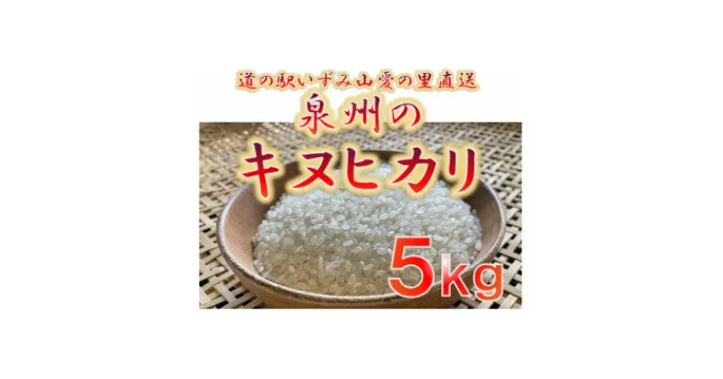 【ふるさと納税】大阪府和泉市の農家さんが心を込めて作ったキヌヒカリ　一袋5kg。道の駅で大好評。【1498576】