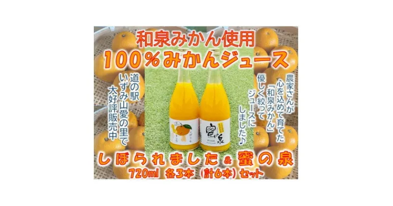 【ふるさと納税】和泉みかんを使用した100%みかんジュース(720ml　6本セット)【1498456】