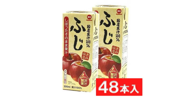 【ふるさと納税】毎日牛乳 国産果汁100%ふじ(青森県産) 200ml紙パック×48本入【1504067】