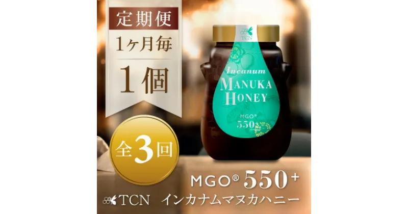 【ふるさと納税】【毎月定期便】インカナム マヌカハニー【MGO550+】500g×1個　全3回【配送不可地域：離島】【4050099】