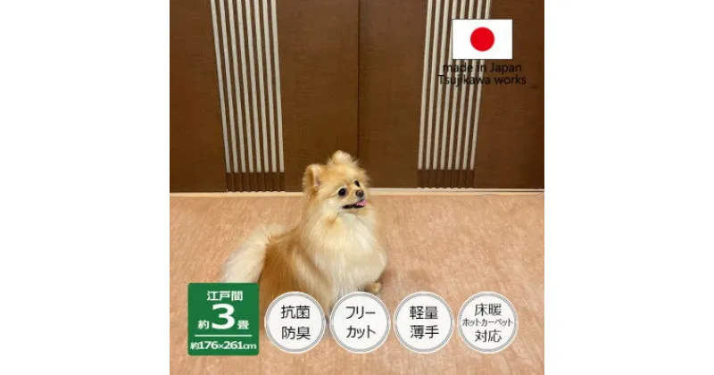 【ふるさと納税】カーペット 日本製 抗菌防臭 犬 猫 ペット対応 ビオラ 176×261cm 江戸間 3畳 ベージュ【1519443】