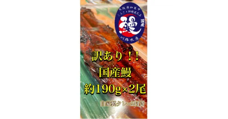 【ふるさと納税】〈訳があってもよろしいでしょうか?〉訳あり国産うなぎ蒲焼き×2尾【配送不可地域：離島・北海道・沖縄県】【1525136】