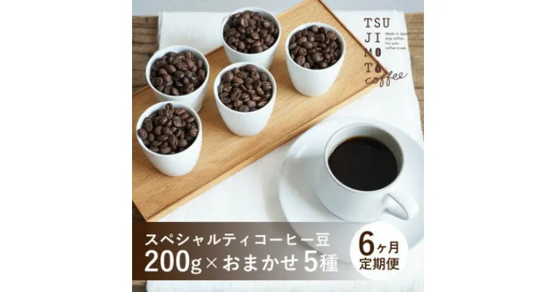 【ふるさと納税】【毎月定期便】スペシャルティコーヒー豆　5種おまかせセット　豆のまま　辻本珈琲全6回【4053968】