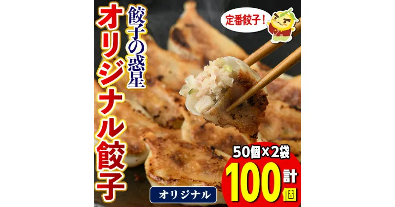 【ふるさと納税】餃子の惑星オリジナル餃子(100個)ぎょうざ ギョーザ 蒸し 揚げ スープ 中華 点心 おつまみ 夜食 惣菜 冷凍 【m06-16】【株式会社夢職人】