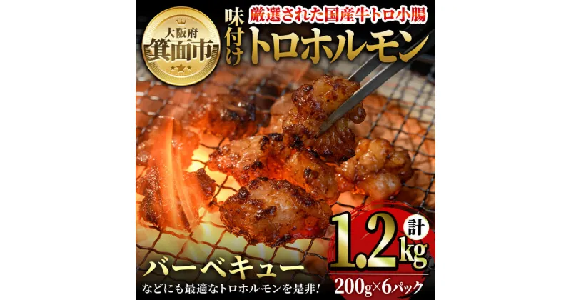 【ふるさと納税】味付けトロホルモン(計1.2kg・200g×6パック) 国産 焼肉 絶品 特Aランク ホルモン ホルモン焼き 牛肉 味付け トロ 牛トロ モツ 牛モツ 小腸 バーベキュー 冷凍 季月【m25-07】【Two Village】