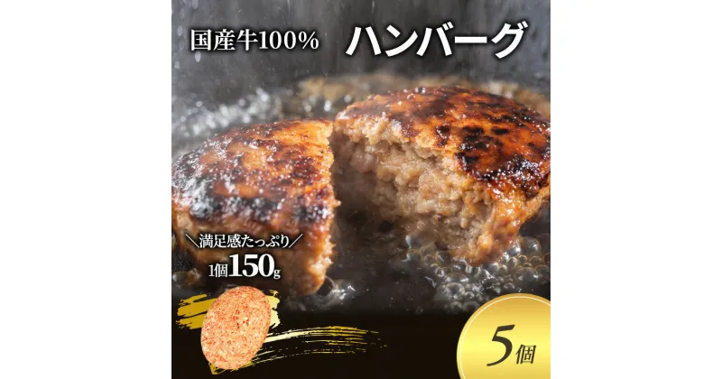 【ふるさと納税】ハンバーグ 150g 5個 セット 国産 牛壱 国産牛100％ 冷凍 惣菜 おかず 真空パック 煮込みハンバーグ お肉 肉 牛肉 牛 淡路島 たまねぎ 手作り ギフト 贈り物 プレゼント 大阪 柏原市　【 大阪府柏原市 】