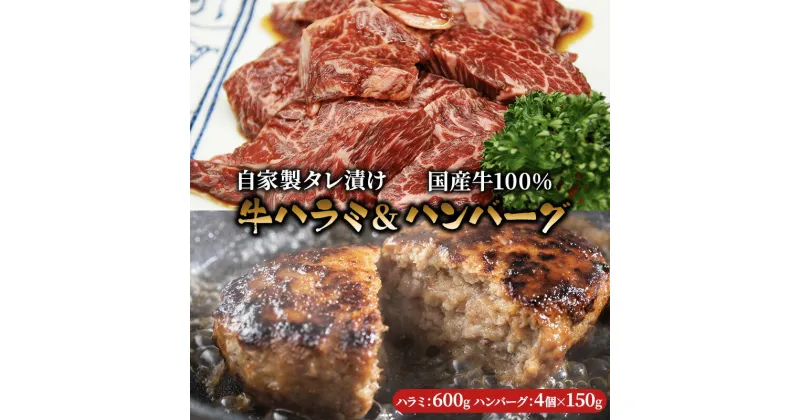 【ふるさと納税】ハラミ たれ漬け 600g ハンバーグ 150g 4個 セット 詰め合わせ 味付け肉 タレ 真空パック 焼肉 バーベキュー アウトドア 弁当 おかず 牛ハラミ 冷凍 惣菜 煮込みハンバーグ お肉 肉 牛肉 牛 手作り ギフト 贈り物 大阪 柏原市　【 大阪府柏原市 】