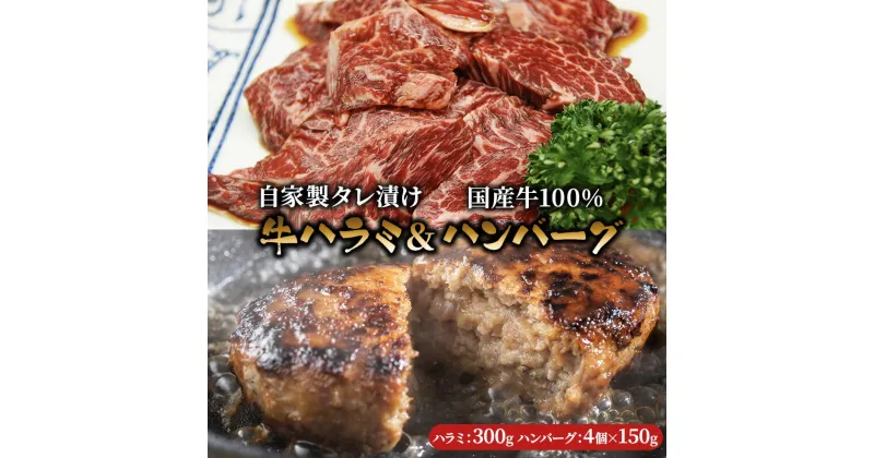 【ふるさと納税】ハラミ たれ漬け 300g ハンバーグ 150g 4個 セット 詰め合わせ 味付け肉 タレ 真空パック 焼肉 バーベキュー アウトドア 弁当 おかず 牛ハラミ 冷凍 惣菜 煮込みハンバーグ お肉 肉 牛肉 牛 手作り ギフト 贈り物 大阪 柏原市　【 大阪府柏原市 】