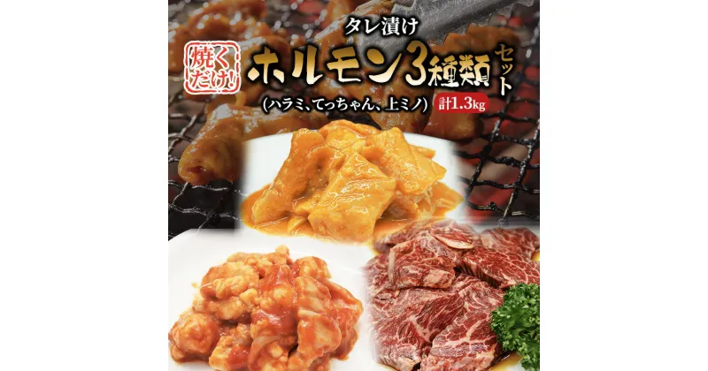 【ふるさと納税】焼肉セット たれ漬け ホルモン セット 1.3kg ハラミ てっちゃん 上ミノ 味噌たれ 詰め合わせ 牛肉 牛 肉 お肉 漬け 焼き肉 焼肉 バーベキュー アウトドア キャンプ 弁当 おかず 冷凍 牛ハラミ 大阪 柏原市　【 大阪府柏原市 】