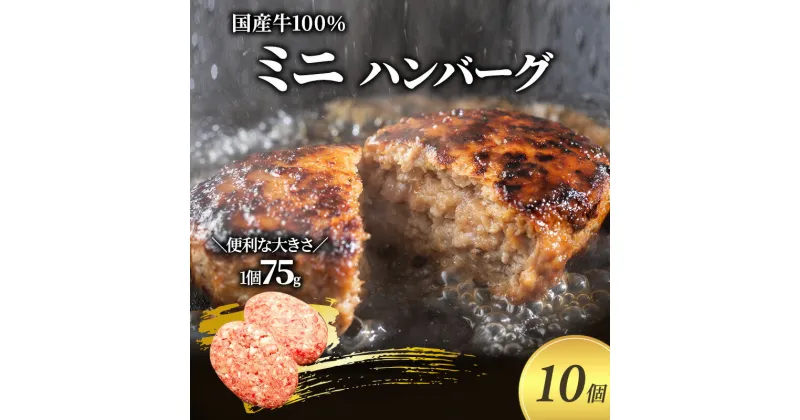 【ふるさと納税】ミニ ハンバーグ 75g 10個 セット 国産 牛壱 国産牛100％ 冷凍 惣菜 おかず 真空パック 煮込みハンバーグ お肉 肉 牛肉 牛 淡路島 たまねぎ 手作り ギフト 贈り物 プレゼント 大阪 柏原市　【 大阪府柏原市 】