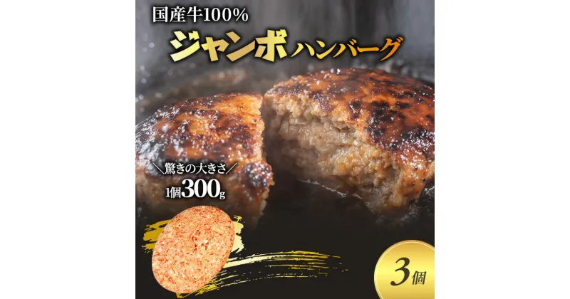 【ふるさと納税】ジャンボ ハンバーグ 300g 3個 セット 国産 牛壱 国産牛100％ 冷凍 惣菜 おかず 真空パック 煮込みハンバーグ お肉 肉 牛肉 牛 淡路島 たまねぎ 手作り ギフト 贈り物 プレゼント 大阪 柏原市　【 大阪府柏原市 】