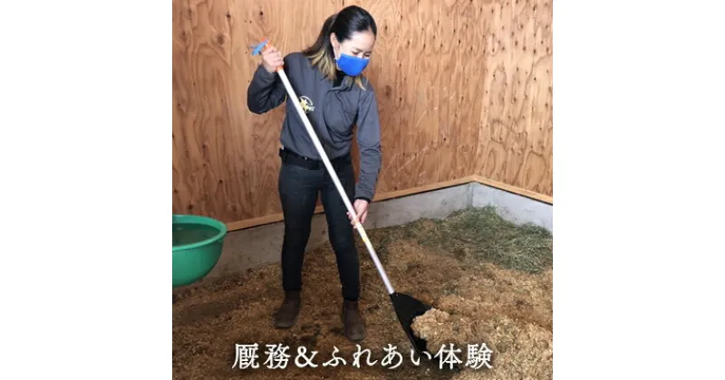 【ふるさと納税】厩務＆ふれあい体験　【 体験チケット 日本在来馬 和種馬 ふれ合い ホースセラピー 動物 厩務体験 馬房の管理 クリーンアップ 】