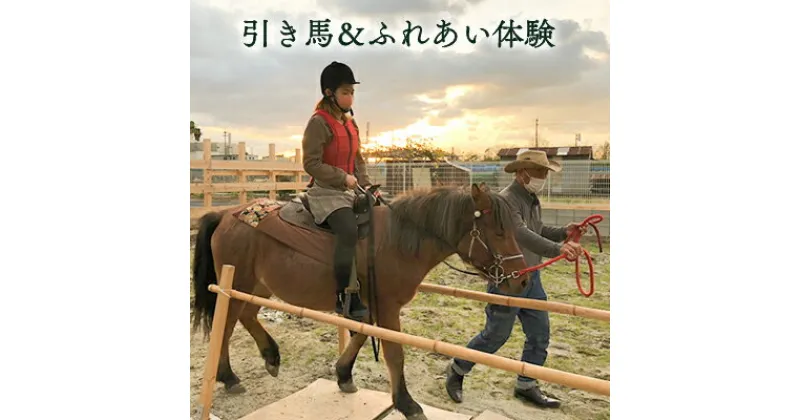 【ふるさと納税】引き馬＆ふれあい体験　【 体験チケット 日本在来馬 和種馬 ブラッシング 手入れ ふれ合い ホースセラピー 動物 】