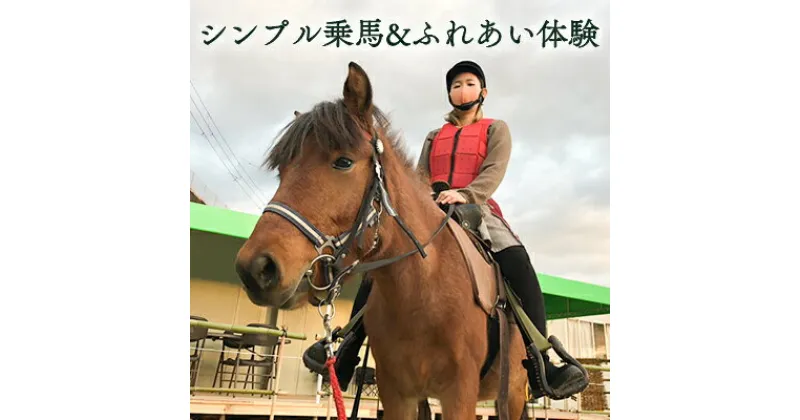 【ふるさと納税】シンプル乗馬＆ふれあい体験　【 体験チケット 日本在来馬 和種馬 ブラッシング 手入れ ふれ合い ホースセラピー 動物 】