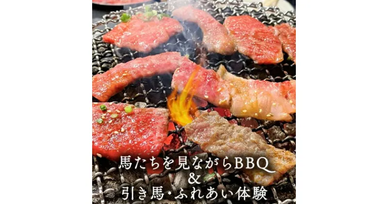 【ふるさと納税】馬たちを見ながらBBQ　【 体験チケット 食事 動物 日本在来馬 和種馬 ドリンク付き のんびり 癒し 】