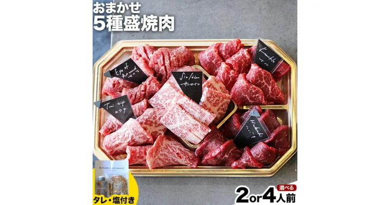 【ふるさと納税】選べる おまかせ5種盛焼肉セット500g or 800gマンノ精肉店《30日以内に出荷予定(土日祝除く)》大阪府 羽曳野市 送料無料 牛肉 セット ギフト 贈答用 焼肉 焼き肉 BBQ プレゼント 食べ比べ