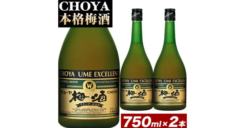 【ふるさと納税】CHOYA 本格梅酒 EXCELLENT エクセレント 750ml × 2本 羽曳野商工振興株式会社《30日以内に出荷予定(土日祝除く)》大阪府 羽曳野市 送料無料 梅酒 梅 酒 CHOYA チョーヤ チョーヤ梅酒 お酒 紀州 南高梅