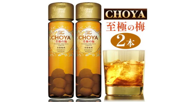 【ふるさと納税】The CHOYA 至極の梅 650ml × 2本 羽曳野商工振興株式会社《30日以内に出荷予定(土日祝除く)》大阪府 羽曳野市 送料無料 梅酒 梅 酒 CHOYA チョーヤ チョーヤ梅酒 お酒 紀州 南高梅