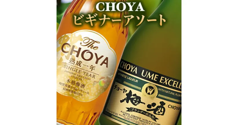 【ふるさと納税】CHOYA ビギナーアソート TheCHOYA　熟成一年 700ml エクセレント 750ml 計2本 セット 飲み比べ 羽曳野商工振興株式会社《30日以内に出荷予定(土日祝除く)》大阪府 羽曳野市 送料無料 梅酒 梅 酒 CHOYA チョーヤ チョーヤ梅酒 お酒 紀州 南高梅