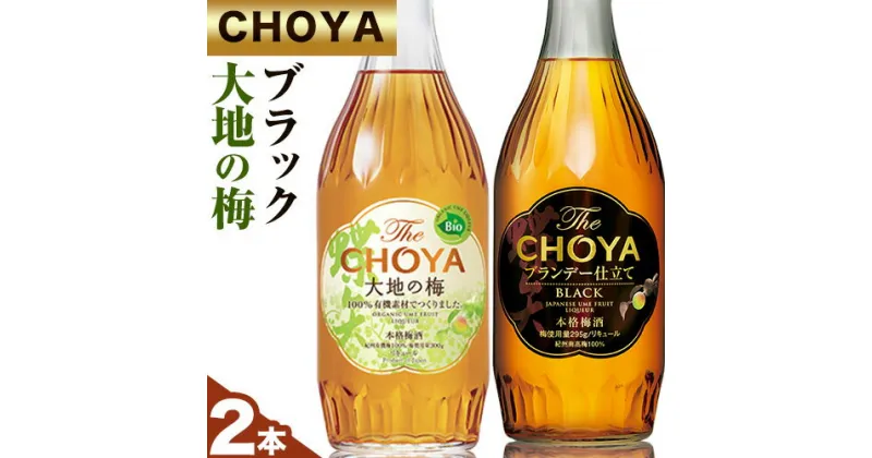 【ふるさと納税】The CHOYA BLACK 700ml The CHOYA 大地の梅 700ml 計2本 セット 飲み比べ 羽曳野商工振興株式会社《30日以内に出荷予定(土日祝除く)》大阪府 羽曳野市 送料無料 梅酒 梅 酒 CHOYA チョーヤ チョーヤ梅酒 お酒 紀州 南高梅 black