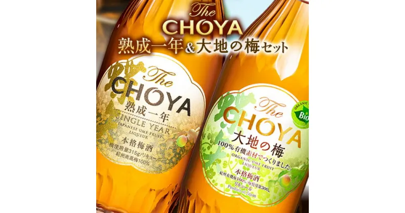 【ふるさと納税】The CHOYA 熟成一年 700ml The CHOYA 大地の梅 700ml 計2本 セット 飲み比べ 羽曳野商工振興株式会社《30日以内に出荷予定(土日祝除く)》大阪府 羽曳野市 送料無料 梅酒 梅 酒 CHOYA チョーヤ チョーヤ梅酒 お酒 紀州 南高梅