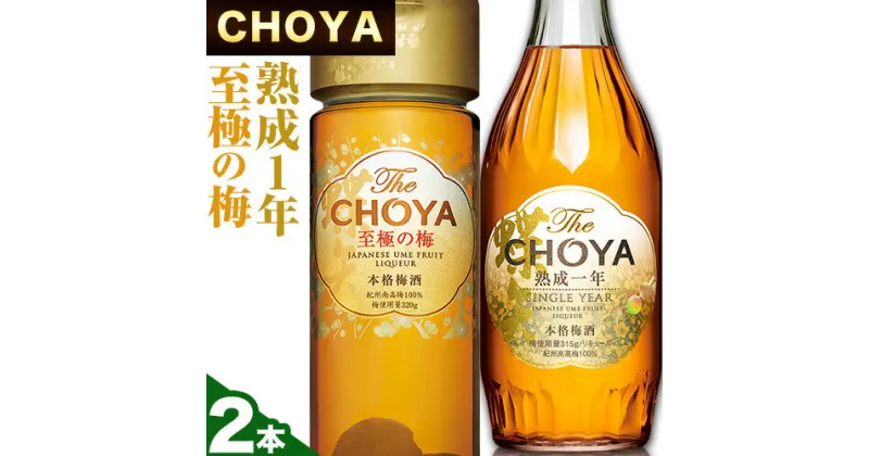 【ふるさと納税】The CHOYA 熟成一年 700ml The CHOYA 至極の梅 650ml 計2本 セット 飲み比べ 羽曳野商工振興株式会社《30日以内に出荷予定(土日祝除く)》大阪府 羽曳野市 送料無料 梅酒 梅 酒 CHOYA チョーヤ チョーヤ梅酒 お酒 紀州 南高梅