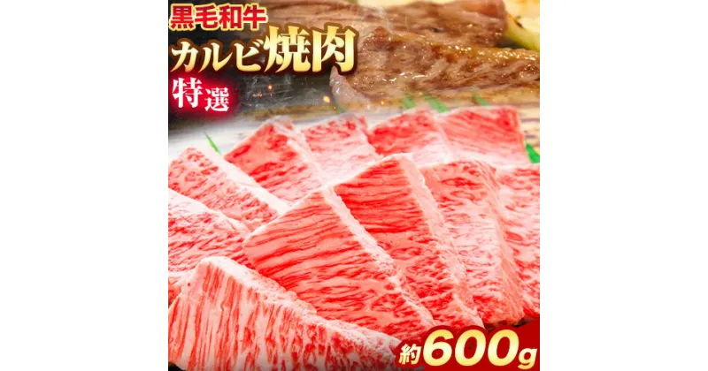 【ふるさと納税】黒毛和牛 特選 カルビ 焼肉 約600g エムエスエイ (株)《30日以内に出荷予定(土日祝除く)》大阪府 羽曳野市 送料無料 牛肉 牛 和牛 焼き肉用 焼き肉