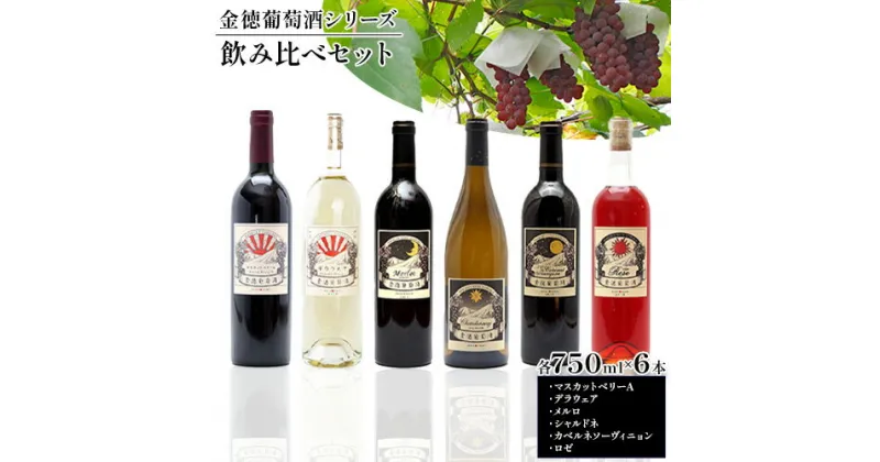 【ふるさと納税】金徳葡萄酒 飲み比べセット マスカットベリーA デラウエア メルロ シャルドネ カベルネソーヴィニヨン ロゼ 各750ml×1本 計6本 株式会社河内ワイン《30日以内に出荷予定(土日祝除く)》大阪府 羽曳野市 ワイン 酒 アルコール 送料無料