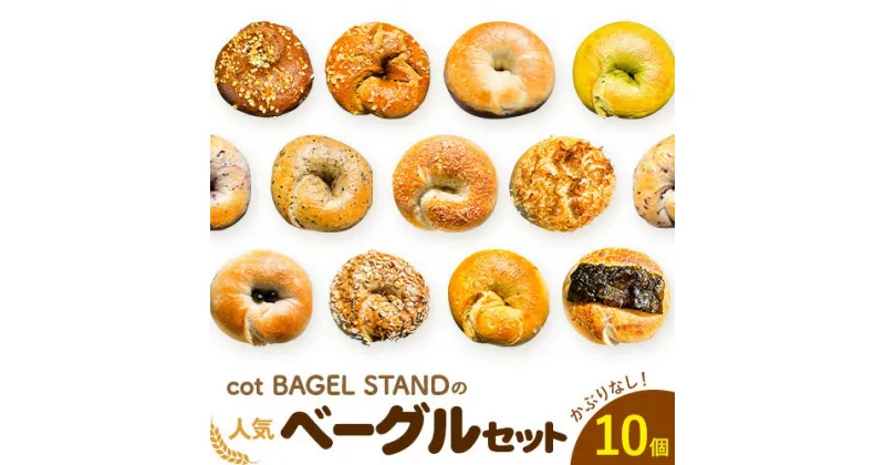 【ふるさと納税】ベーグル 人気 ベーグル 詰め合わせ 10個 セット cot BAGEL STAND《90日以内に出荷予定(土日祝除く)》大阪府 羽曳野市 パン 手作り 店主厳選 こだわり はるゆたか 惣菜パン コットベーグルスタンド