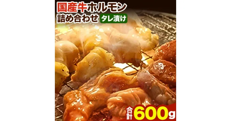 【ふるさと納税】萬野総本店 ホルモン 国産牛 ホルモン 詰め合わせ 約600g《30日以内に出荷予定(土日祝除く)》大阪府 羽曳野市 牛肉 国産牛 小腸 アカセン アカセンマイ ミノ ココロ 心臓 焼肉 詰め合わせ セット【配送不可地域あり】