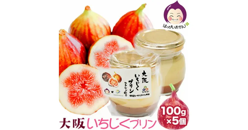 【ふるさと納税】 大阪いちじくプリン 100g×5個入り はっぴいおかん《30日以内に出荷予定(土日祝除く)》大阪府 羽曳野市 お菓子 スイーツ おやつ プリン 常温