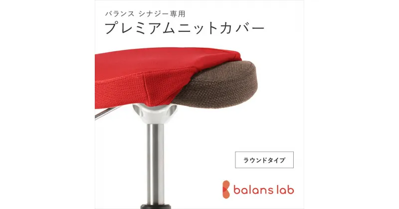 【ふるさと納税】バランスシナジー専用プレミアムニットカバー（レッド）ラウンドシート用 はっ水加工【 バランスイージー カバー 大阪府 門真市 】