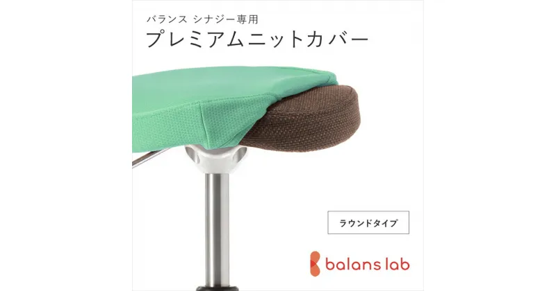 【ふるさと納税】バランスシナジー専用プレミアムニットカバー（ライトグリーン）ラウンドシート用 はっ水加工【 バランスイージー カバー 大阪府 門真市 】