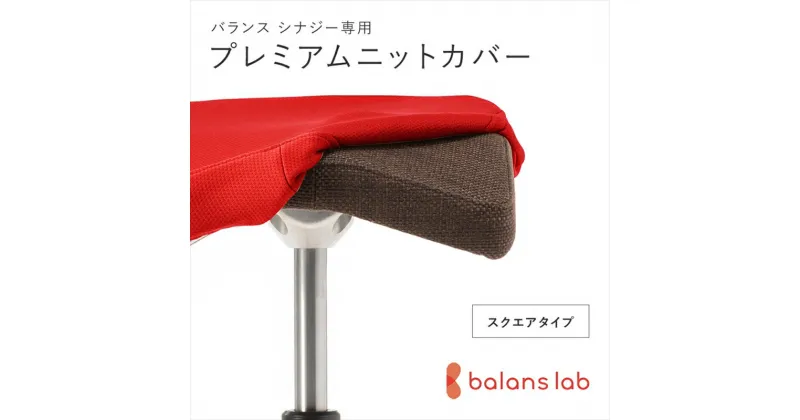 【ふるさと納税】バランスシナジー専用プレミアムニットカバー（レッド）スクエアシート用 はっ水加工【 バランスイージー カバー 大阪府 門真市 】