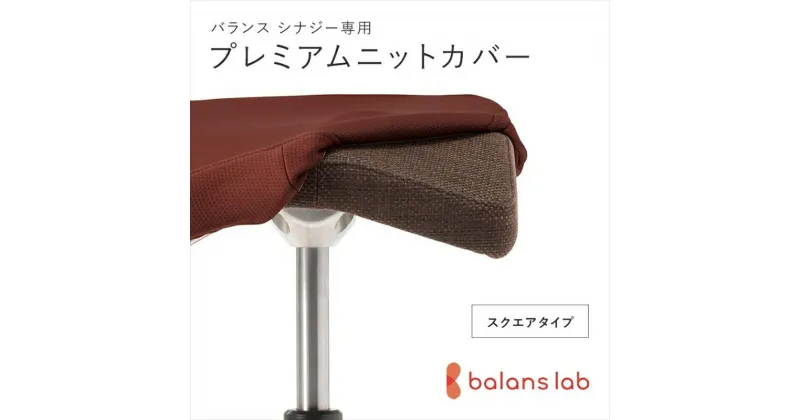 【ふるさと納税】バランスシナジー専用プレミアムニットカバー（ダークブラウン）スクエアシート用 はっ水加工【 バランスイージー カバー 大阪府 門真市 】