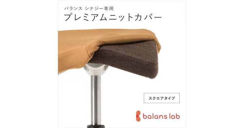 【ふるさと納税】バランスシナジー専用プレミアムニットカバー（ベージュ）スクエアシート用 はっ水加工【 バランスイージー カバー 大阪府 門真市 】