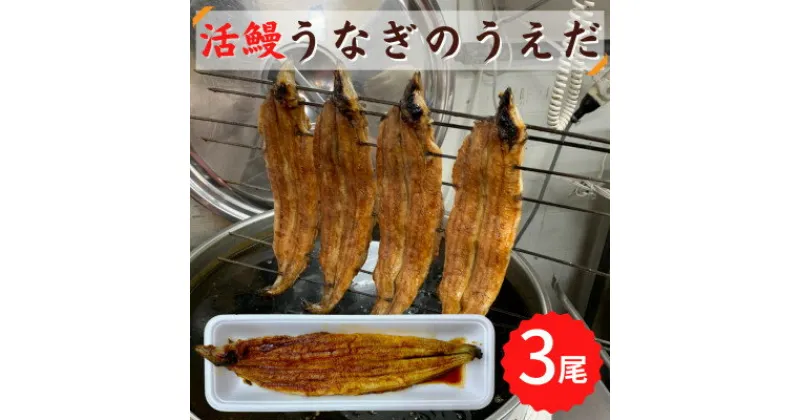 【ふるさと納税】【3尾】活鰻　おいしいうな丼が作れる国産うなぎ蒲焼3本(タレ3ヶ入)【配送不可地域：離島】【1377104】