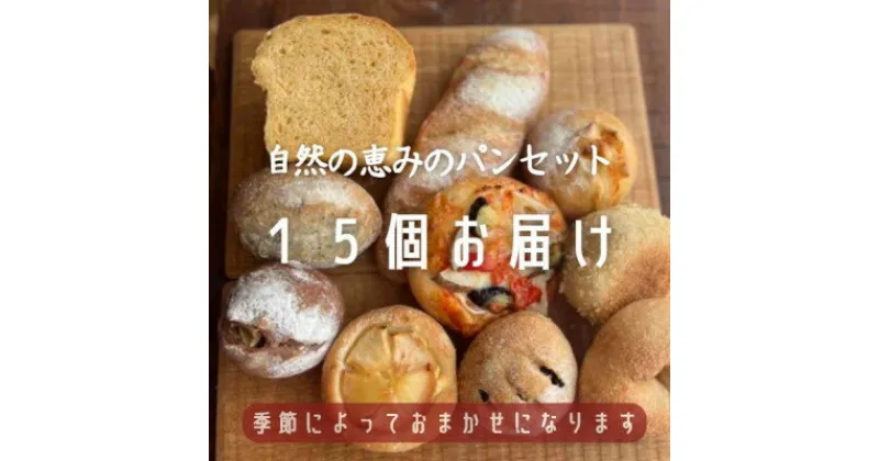 【ふるさと納税】【15個入り】パン屋kotubuの自然の恵みのパンセット(大)【配送不可地域：離島】【1352138】