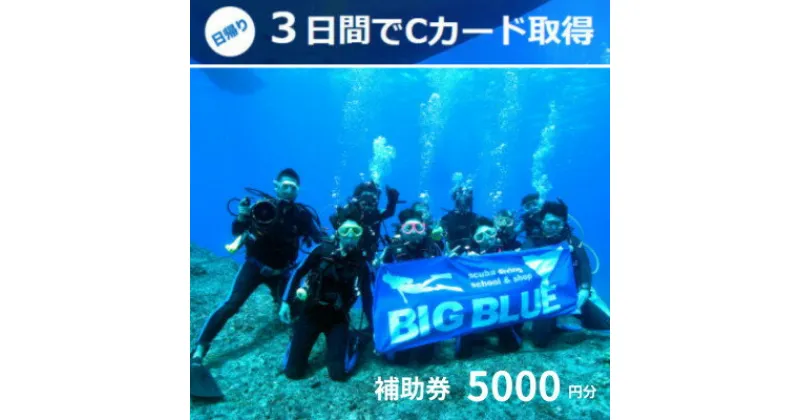 【ふるさと納税】BIG BLUE　スキューバダイビング　PADI(Cカードライセンス) 免許取得補助券5,000円分【1489917】