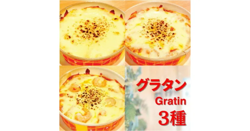 【ふるさと納税】【グラタン3種】お店の味をそのまま冷凍パック 手作りイタリアンセット 手軽に本格おつまみ 時短料理!【配送不可地域：離島】【1494983】