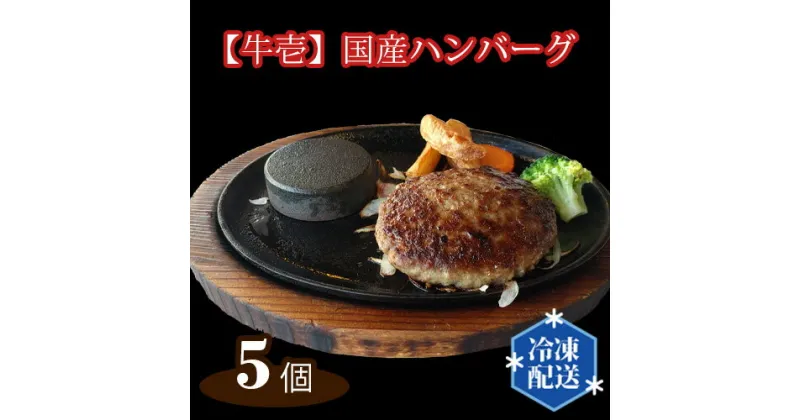 【ふるさと納税】No.146 【牛壱】国産ハンバーグ5個（約750g） ／ 手ごね 手作り 惣菜 送料無料 大阪府