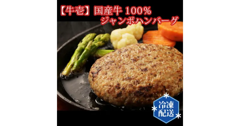 【ふるさと納税】No.196 【牛壱】国産牛100％ジャンボハンバーグ3個　300g×3個 ／ 挽肉 自家製タレ 送料無料 大阪府