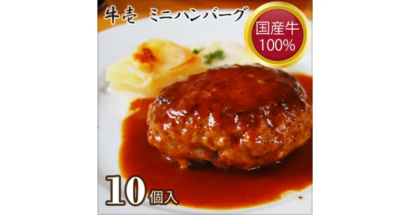 【ふるさと納税】No.198 【牛壱】国産牛100％ミニハンバーグ10個　75g×10個 ／ 挽肉 自家製タレ 送料無料 大阪府