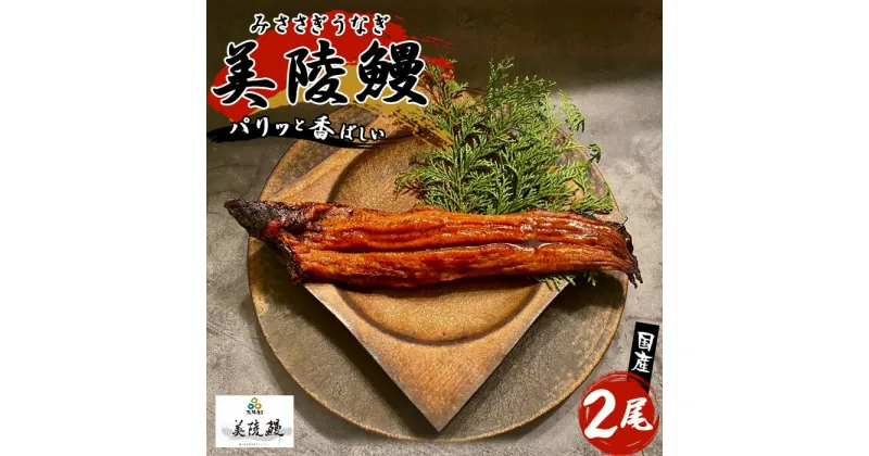 【ふるさと納税】No.211 大阪府藤井寺市産　美陵鰻 ／ うなぎ ウナギ 蒲焼 送料無料 大阪府