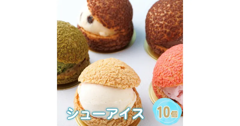 【ふるさと納税】No.244 シューアイス　10個セット ／ バニラ チョコレート ストロベリー 抹茶 ラムレーズン 送料無料 大阪府