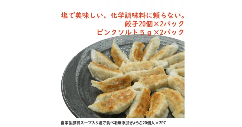 【ふるさと納税】自家製豚骨スープ入り塩で食べる無添加ぎょうざ20個入×2PC